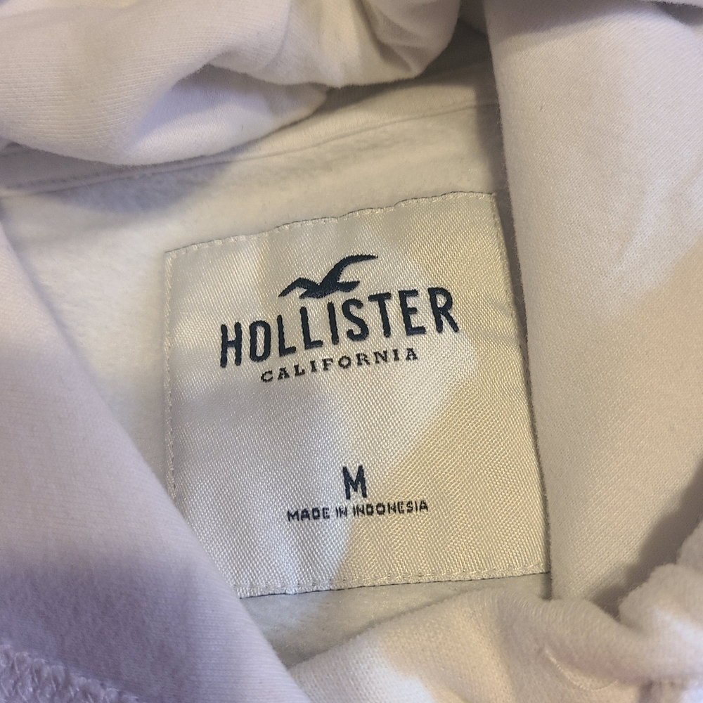 Hollister sweatshirt